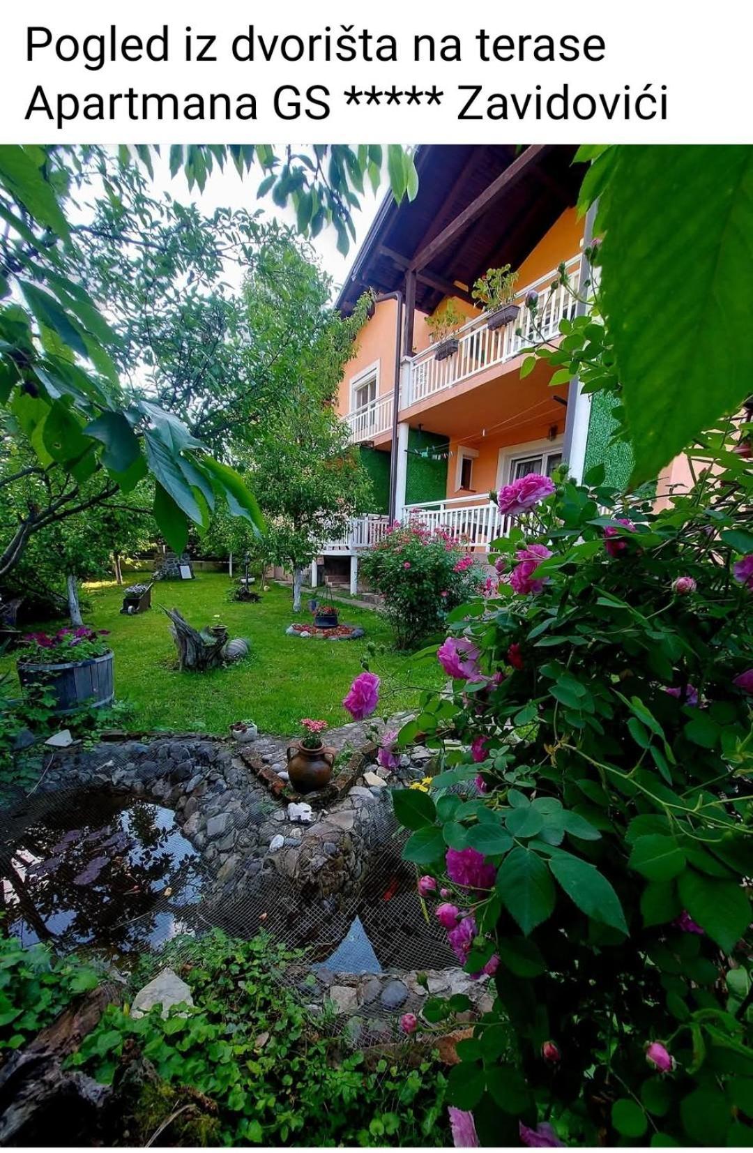 Apartmani GS ***** Zavidovici Exterior foto